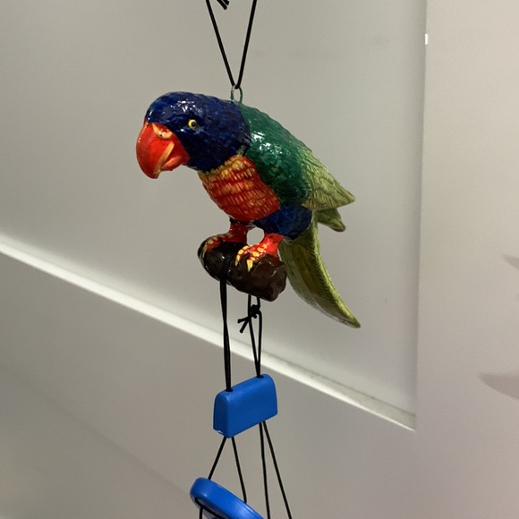 Parrots 🦜 - Picture 3 of 12